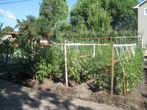 Jordan Street Garden